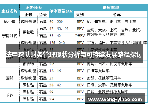 法甲球队财务管理现状分析与可持续发展路径探讨