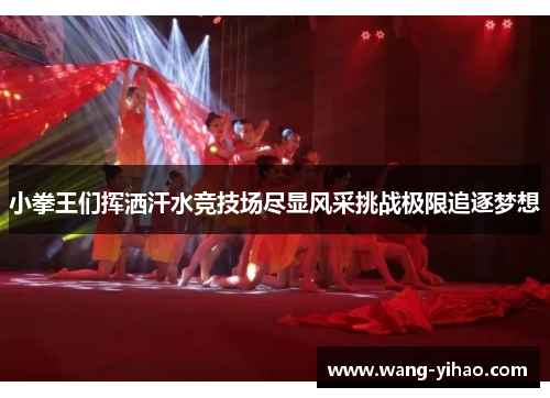 小拳王们挥洒汗水竞技场尽显风采挑战极限追逐梦想