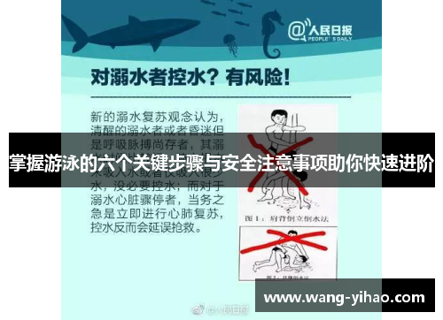 掌握游泳的六个关键步骤与安全注意事项助你快速进阶