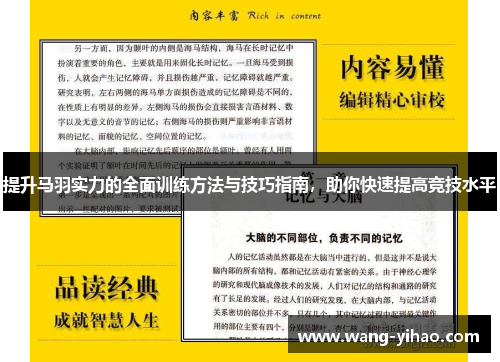 提升马羽实力的全面训练方法与技巧指南，助你快速提高竞技水平