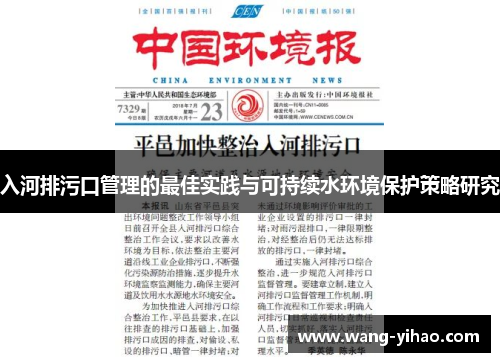 入河排污口管理的最佳实践与可持续水环境保护策略研究