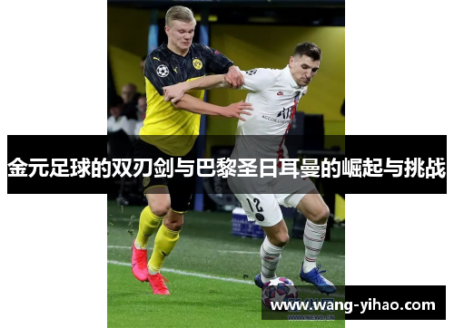 金元足球的双刃剑与巴黎圣日耳曼的崛起与挑战