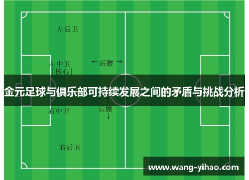 金元足球与俱乐部可持续发展之间的矛盾与挑战分析