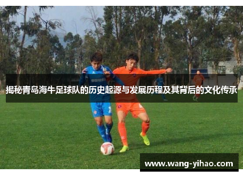 揭秘青岛海牛足球队的历史起源与发展历程及其背后的文化传承