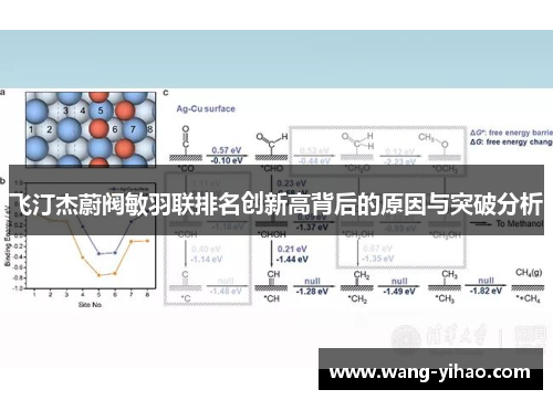 飞汀杰蔚阀敏羽联排名创新高背后的原因与突破分析
