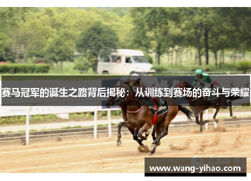 赛马冠军的诞生之路背后揭秘：从训练到赛场的奋斗与荣耀