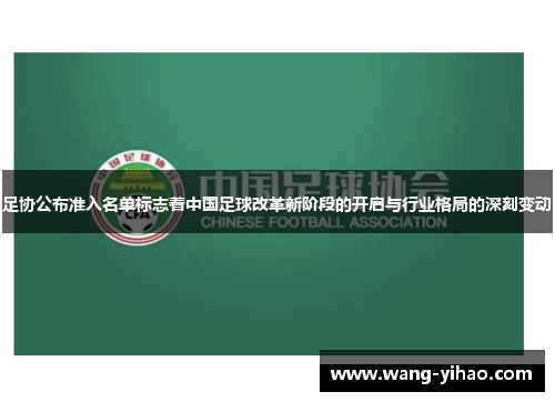 足协公布准入名单标志着中国足球改革新阶段的开启与行业格局的深刻变动