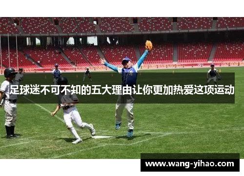 足球迷不可不知的五大理由让你更加热爱这项运动