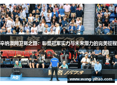 辛纳澳网卫冕之路：彰显冠军实力与未来潜力的完美征程