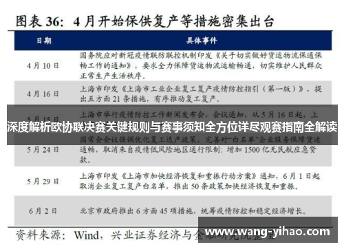 深度解析欧协联决赛关键规则与赛事须知全方位详尽观赛指南全解读