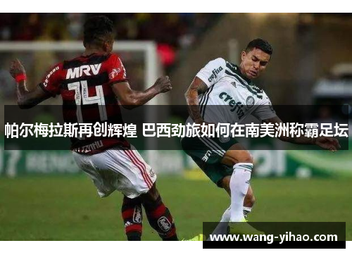 帕尔梅拉斯再创辉煌 巴西劲旅如何在南美洲称霸足坛