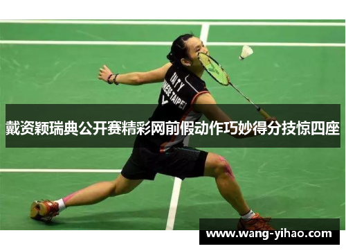 戴资颖瑞典公开赛精彩网前假动作巧妙得分技惊四座